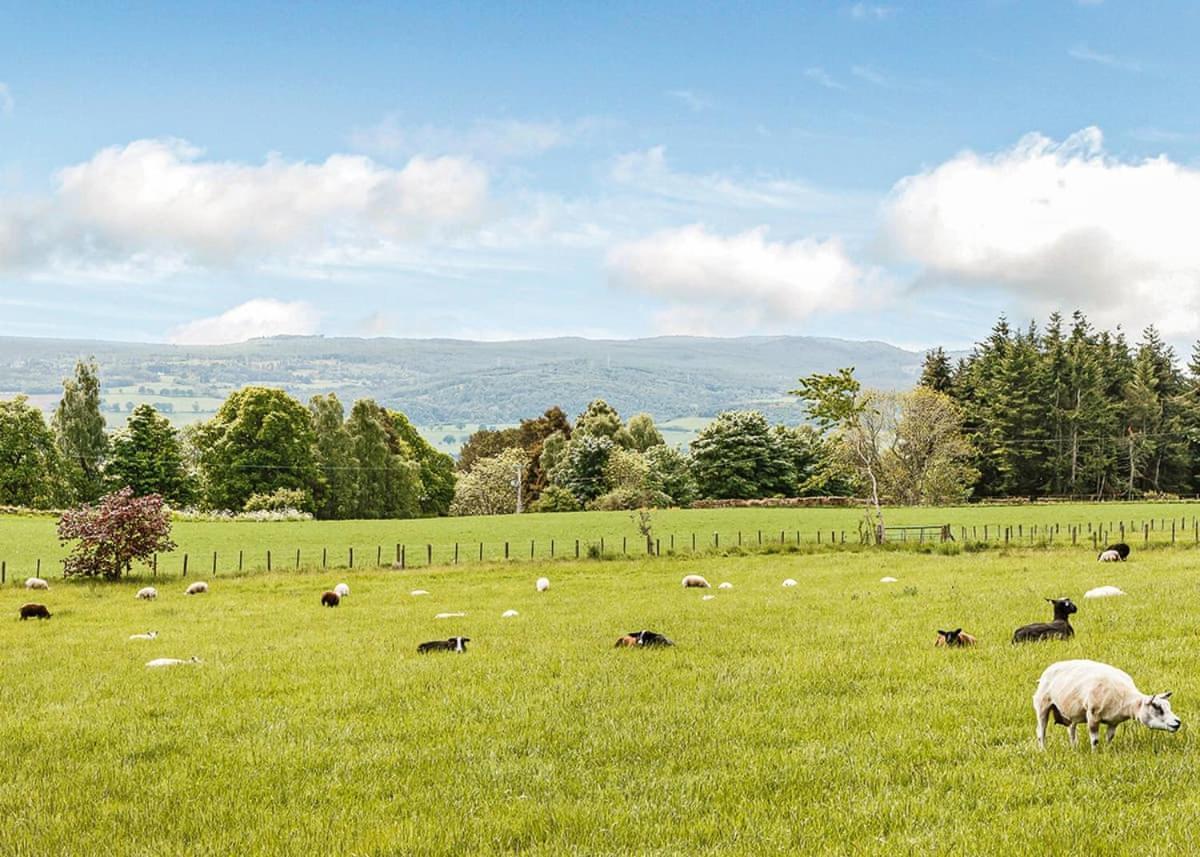 Kessock Highland Lodges North Kessock ภายนอก รูปภาพ